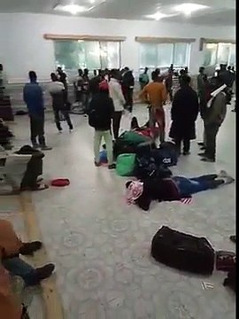 Regardez comment ces Africains sont traités en Algérie