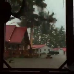 Ağaç'ın üzerine düşen yıldırım!Yakın mesafe çekim!