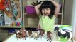 Horses Schleich Safari Toys Animal Figures 4 Year Old Entire Collection for Kids