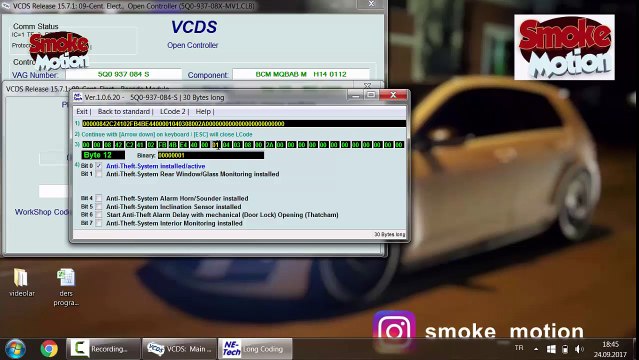 Vagcom Lecture 2 Alarm Coding Nasıl Kodlama Yapılır VCDS Adaptation
