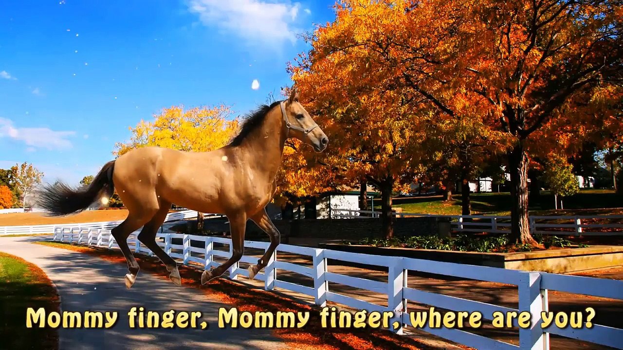 Finger Family Animals Big Collection Nursery Rhymes For Children - Learning Animals Names and Sound
