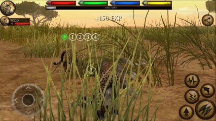 Cheetah vs Lion Ultimate Savanna Simulator Gameplay ● Animal Simulator Game by Gluten Free Games