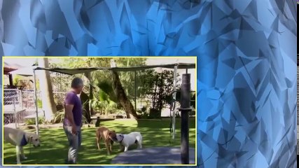 Cesar 911 S01E03 Dog Fight