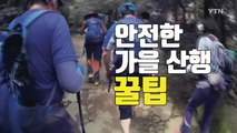 [자막뉴스] 등산의 계절 가을...산악 사고 예방법은? / YTN