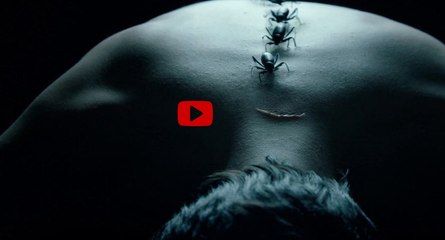 HD PUtlocKER - Regarder American Horror Story Saison 7 Episode 6: (en ligne) 2017- Mid-Western Assassin