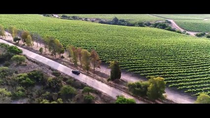 CAP-121 PERDONA NUESTROS PECADOS - Lunes 09 de octubre.