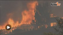Hutan terbakar, 10 maut di California