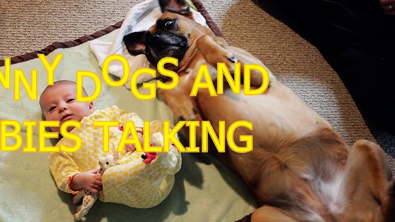 Funny dogs and babies talking - Cute dog & baby compilation