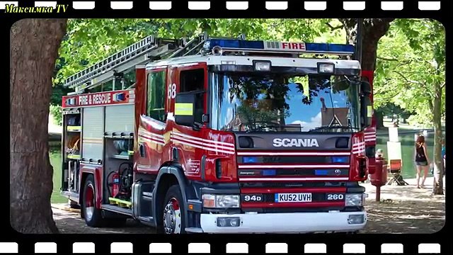 Транспорт и спецтехника, развивающий мультфильм, изучаем транспорт и звуки