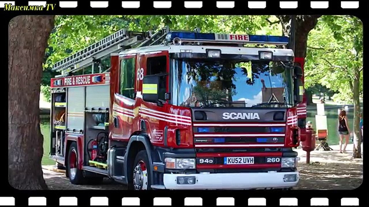 Транспорт и спецтехника, развивающий мультфильм, изучаем транспорт и звуки