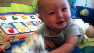 Funny Babies Laughing ★ Best Funny Kids Videos 2017