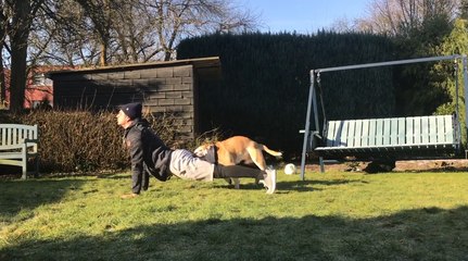 Guy Tries To Do Yoga But Dog Has Another Idea In Mind