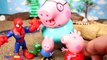 Peppa la Cerdita en español y Dinosaurios para niños✨Videos de Peppa Pig en español/Peppa Pig Videos