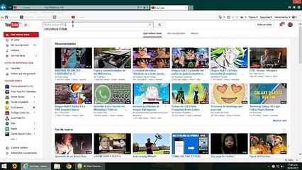 Potente programa para descargar vídeos 4k y música 2016