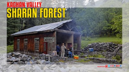 Sharan Forest Kaghan valley