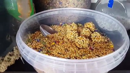 Mein Wellensittich-Zubehör