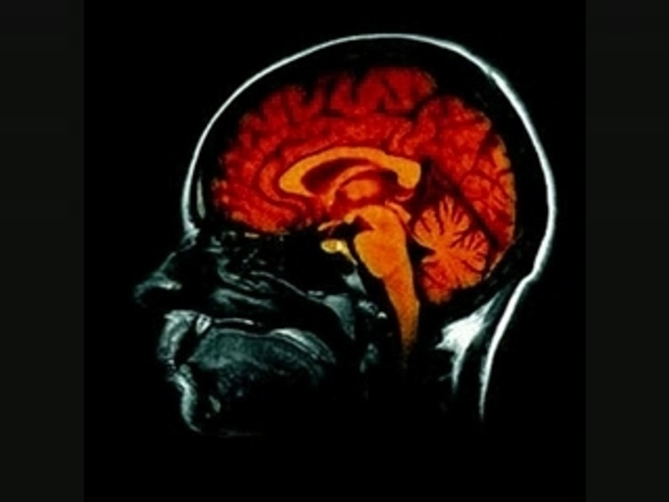 boris "soirée disco"  "aventure intérieure"