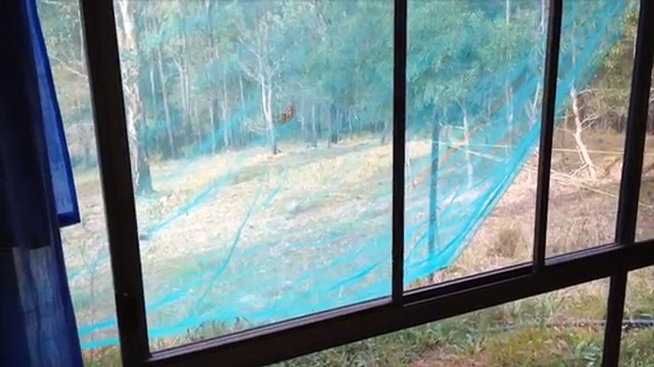 Shipping Container house -- Two years living in shipping containers (review)