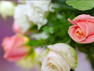 הפקת אירועים