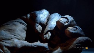 Mummies Alive: Season 1 Episode 2 - Buried in a Bog - Smithsonian Channel