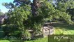 La forêt de Brocéliande Bretagne en vue aérienne par drone