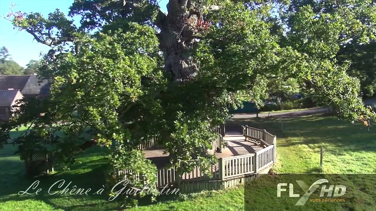 La forêt de Brocéliande Bretagne en vue aérienne par drone