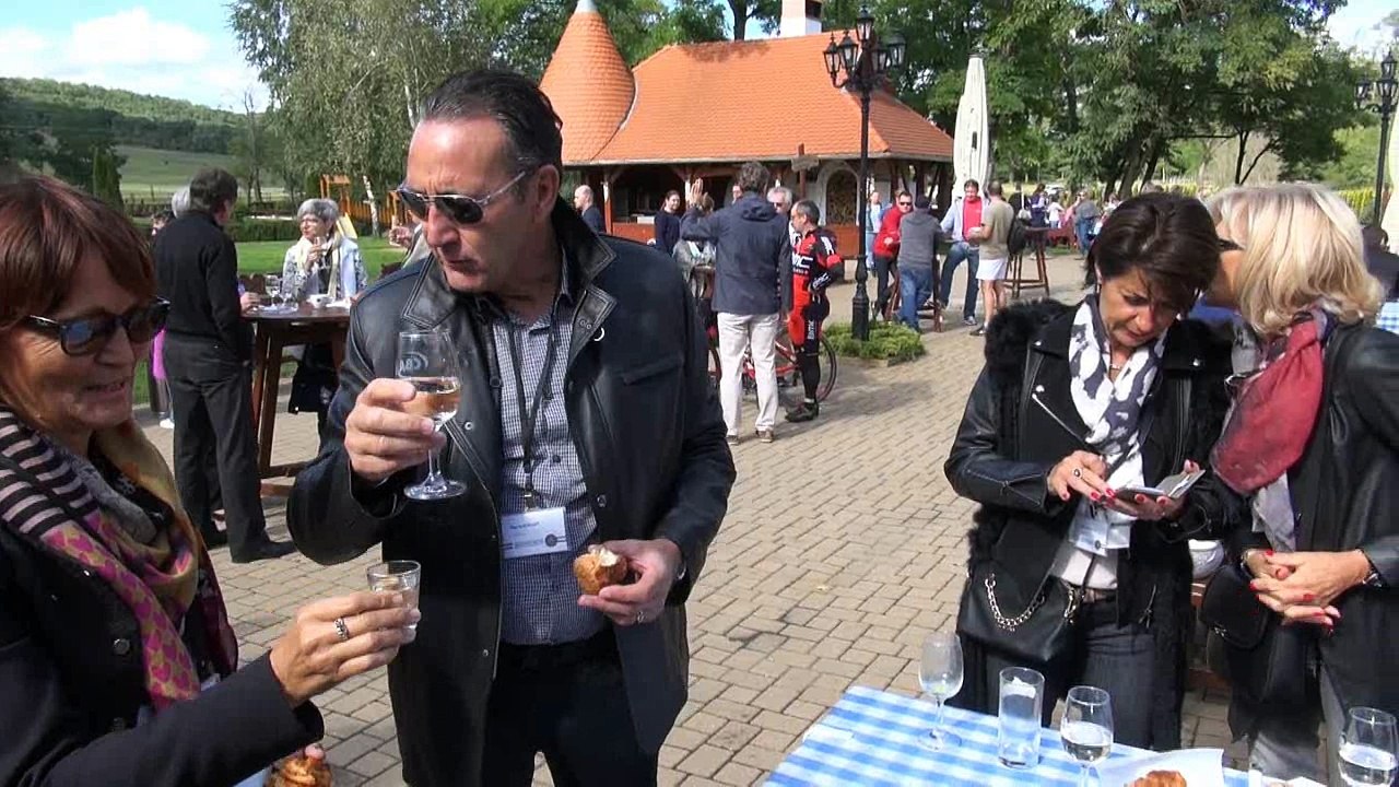 Ambassador AG Budapest