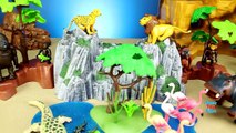 Playmobil Childrens Farm and Safari Animals Playset Build and Play - Fun Toys Video For Kids