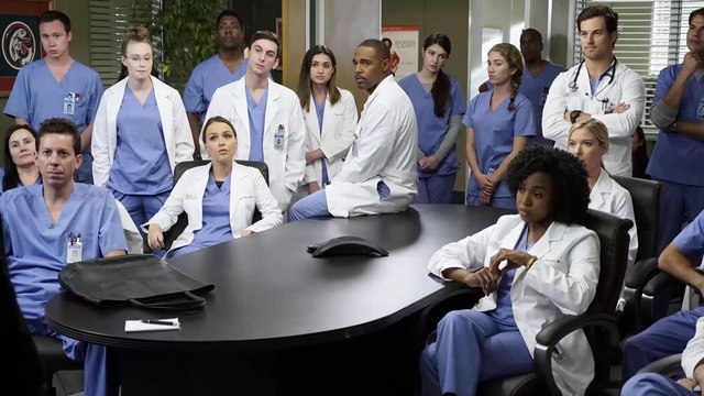 Grey's Anatomy saison 14 : 6 nouveaux internes débarquent