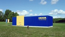 IKEA LURVIG pour chats et chiens