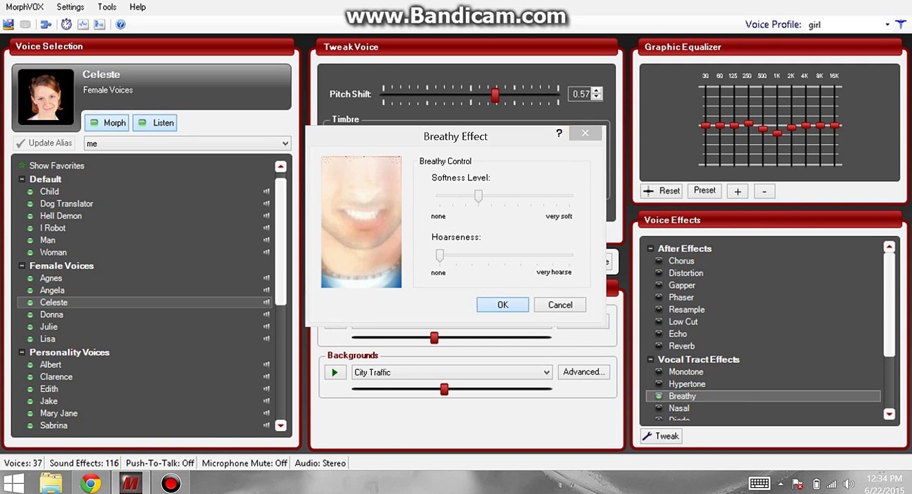 MorphVox Pro How to sound like a Girl, and Megatron voice (visual Tutorial)