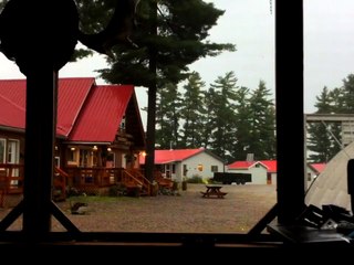 Avete mai visto un fulmine colpire un albero?