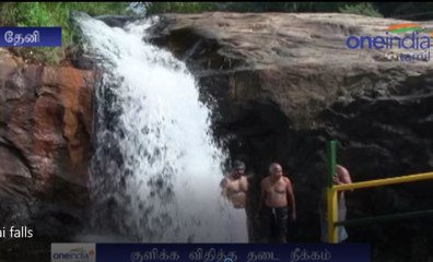 அருவியில் குளிக்க விதிக்கப்பட்ட தடை நீக்கம்-வீடியோ