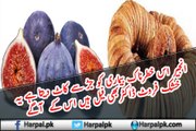 اس خطرناک بیماری کو جڑ سے کاٹ دیتا ہے یہ خشک فروٹ ڈاكٹربھی فیل ہیں اس آگے