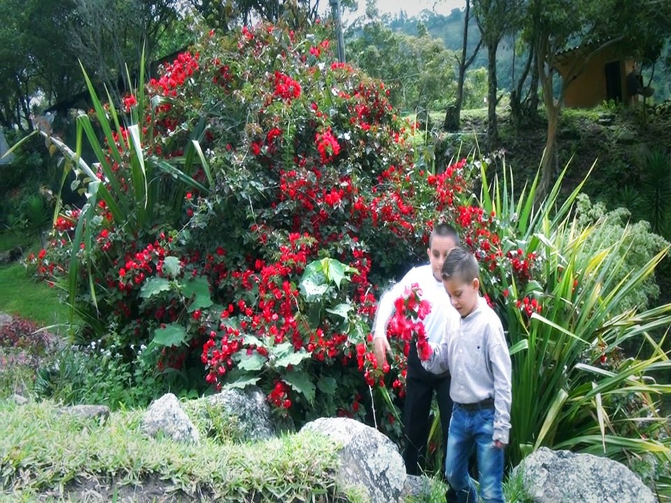 Música Campesina - El Niño Campesino - Los Hermanos Guerrero - Centro Turístico la Encantada - Cordero - Estado Táchira - Jesús Méndez Producciones