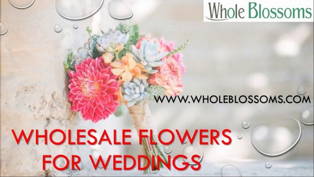 Wholesale Flowers for Weddings - wholeblossoms.com