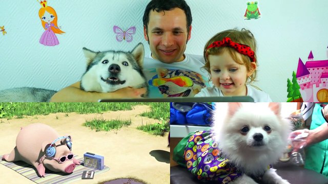 УГАДАЙ БЛОГЕРА ПО ПИТОМЦУ Челлендж