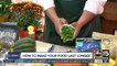 Simple tips to make your fall produce and meals last