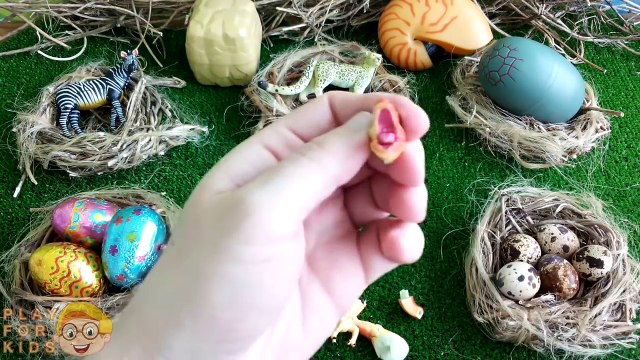 Unboxing Dinosaur puzzle eggs 3D Tarbosaurus, Coral Fish, Wild Animal, animal puzzle