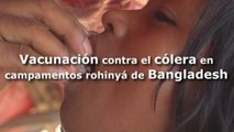 Inician una campaña de vacunación contra el cólera en campamentos rohinyás