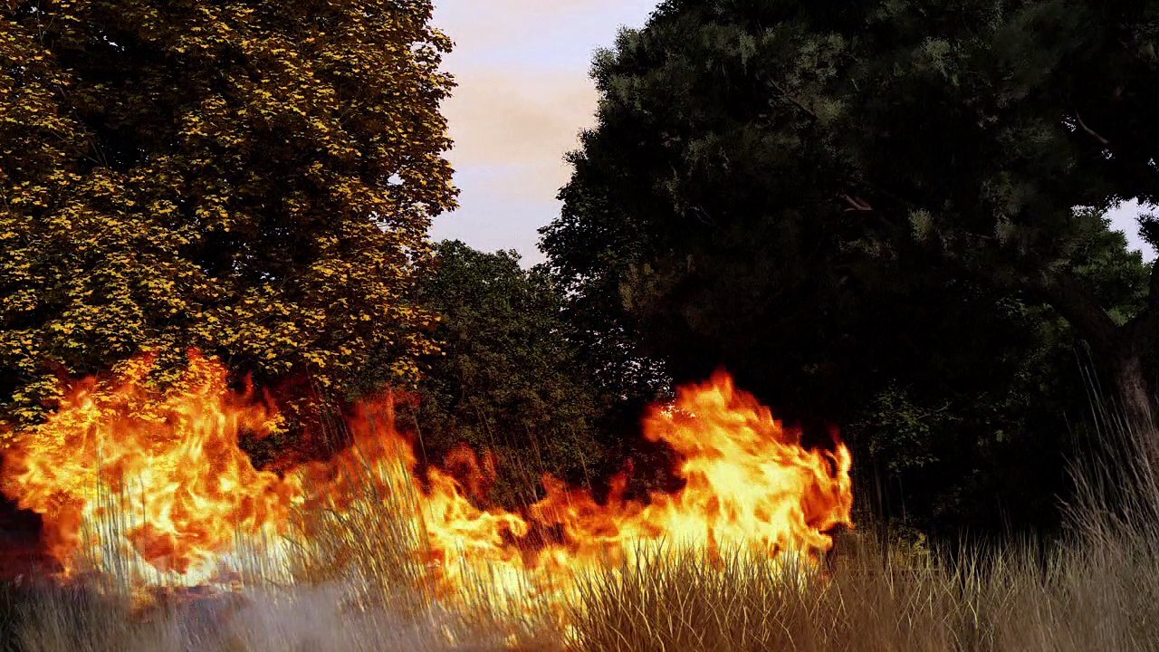 Los incendios forestales