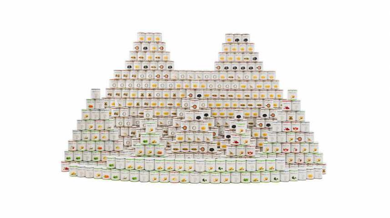 Des kits de survie alimentaires pour tenir un an disponibles en supermarché