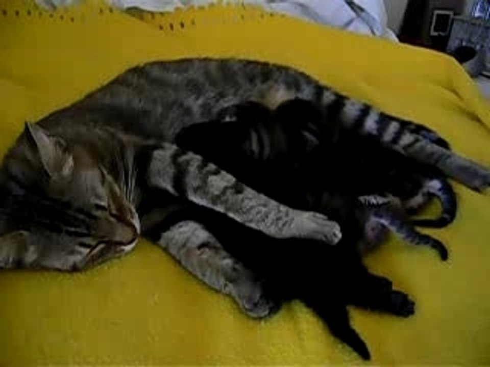 tits bouts de choux que du bonheur!!!