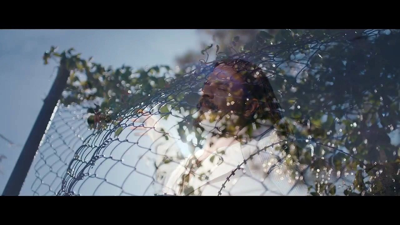 Martıların Efendisi - Fragman