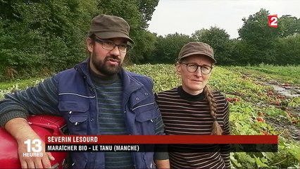 Gastronomie : les courges bio ont la cote