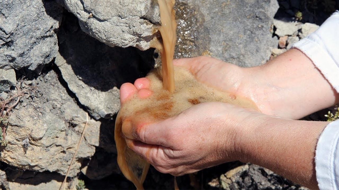 Une source minérale naturelle de Coca-Cola