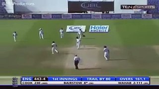 Wahab Riaz brings life to a lifeless wicket  By Legend Of Fun