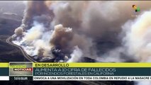 EE.UU.: al menos diez muertos por incendios forestales en California