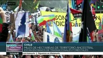 Chile: reprimen marcha en Santiago en apoyo a resistencia mapuche