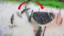The Best Fish Trap Using Fishing Net 2017 - Amazing Net Fishing in Cambodia